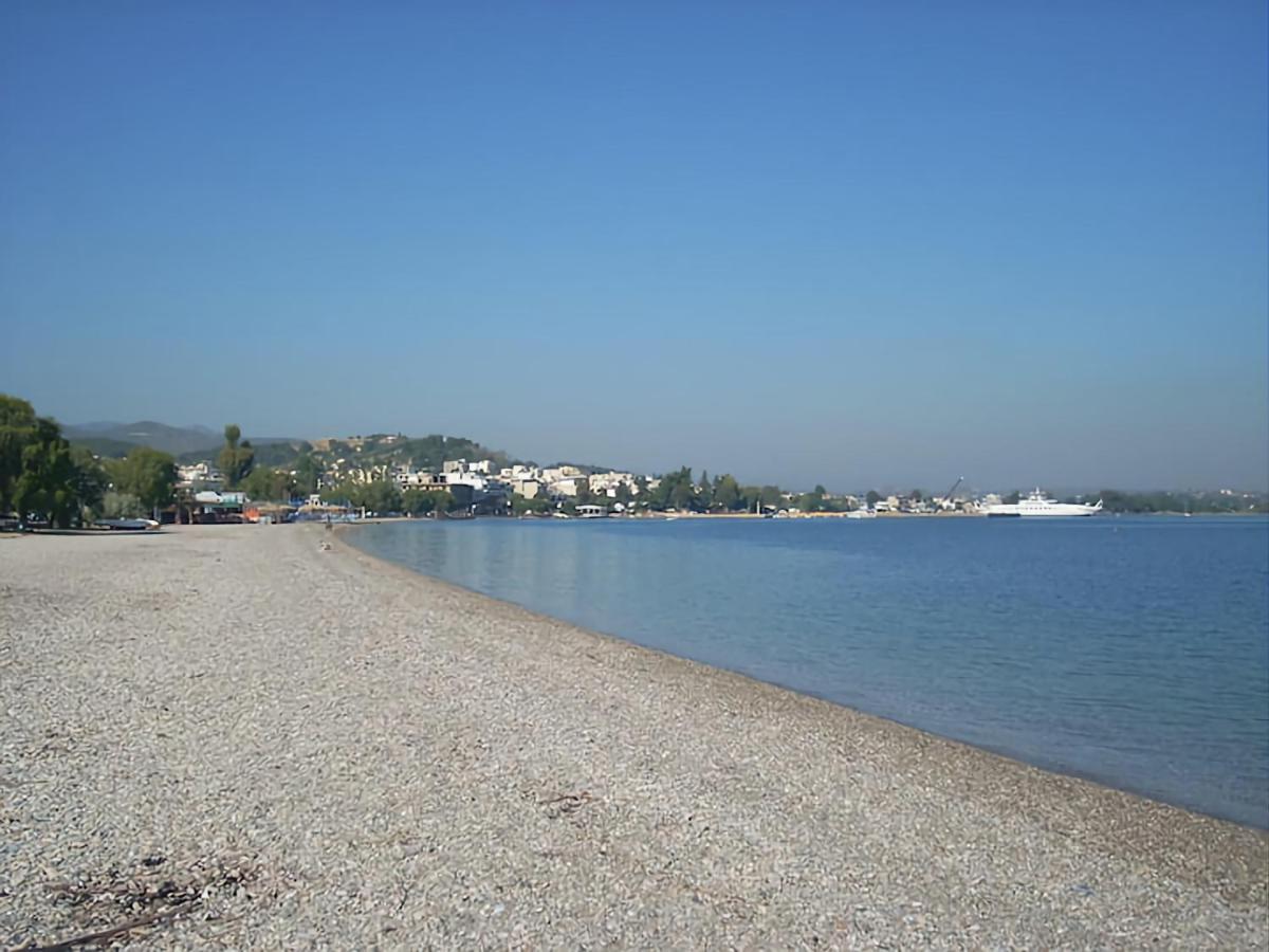 Bright Apartment In Nea Palatia • Oropos Εξωτερικό φωτογραφία