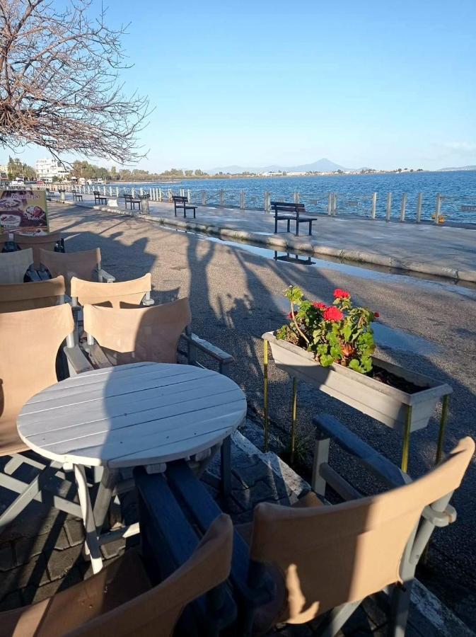 Bright Apartment In Nea Palatia • Oropos Εξωτερικό φωτογραφία